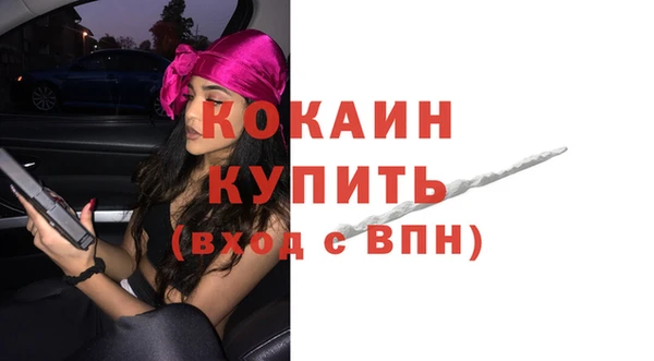 индика Магадан