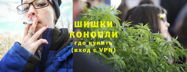 ECSTASY Вяземский