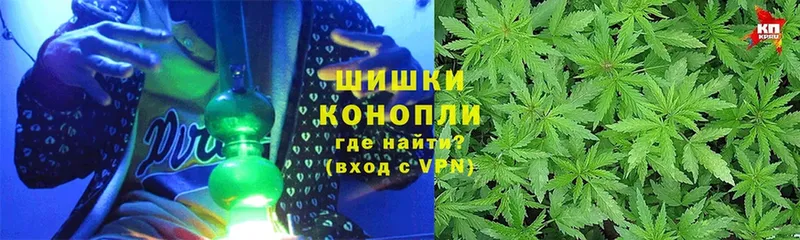 Конопля конопля  Цоци-Юрт 