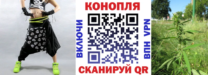 Бошки Шишки тримм  Цоци-Юрт 